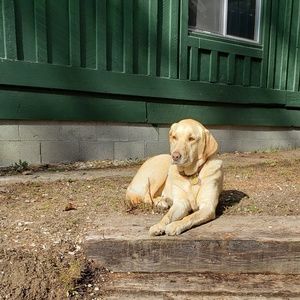 Meet your Posher, Sherri